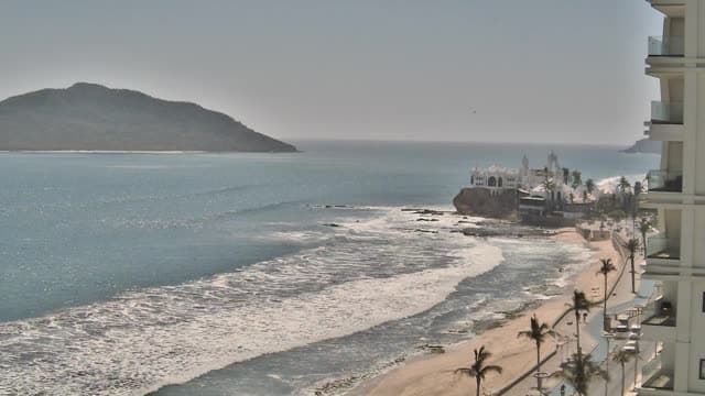 Vista de Jacarandas